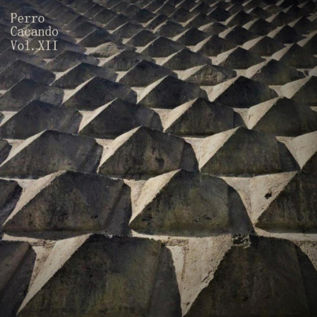 Perro Cacando Vol. XII cover art
