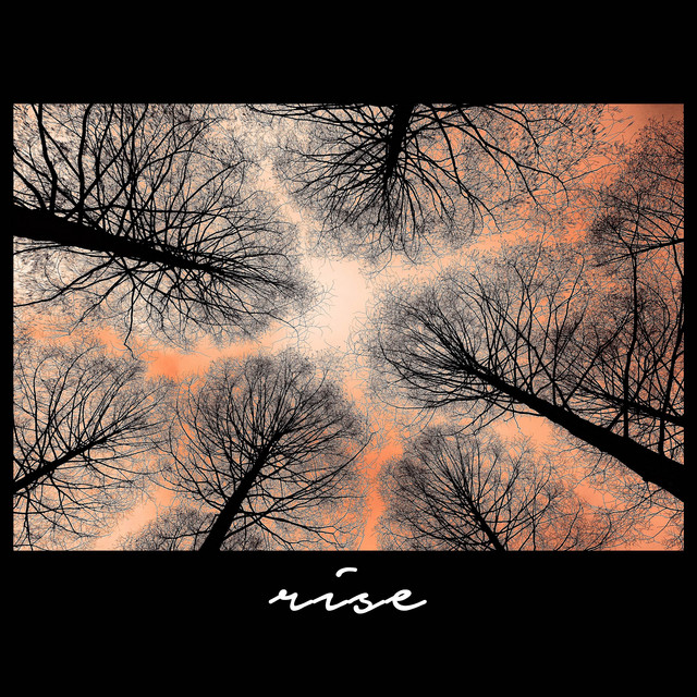 Rise cover art