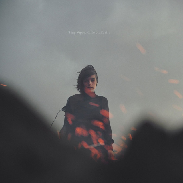 Life on Earth cover art