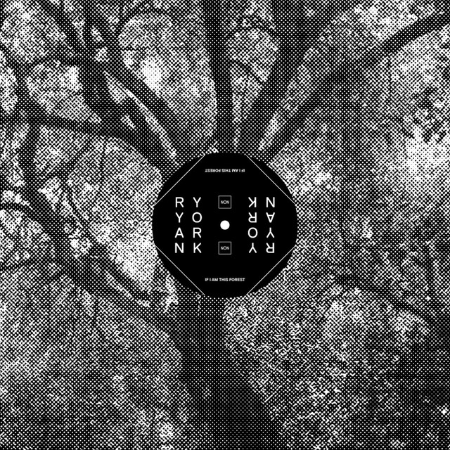 If I Am This Forest cover art