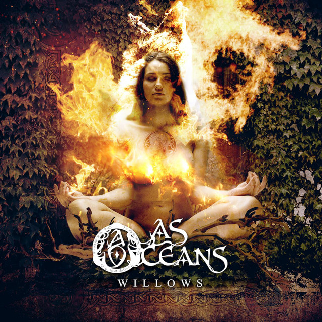Willows cover