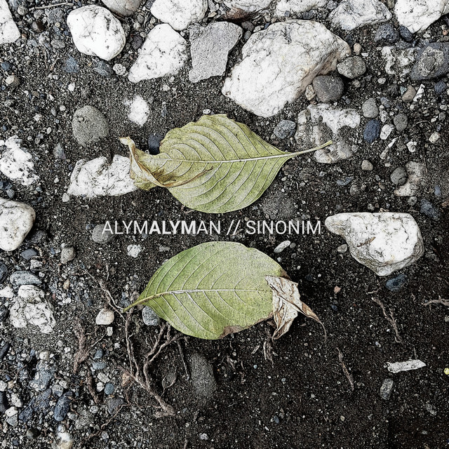Sinonim cover art