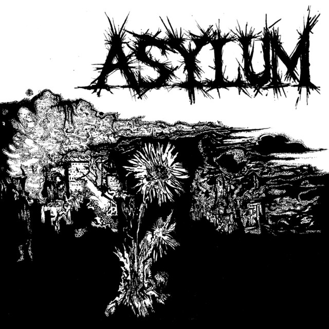 Asylum cover art