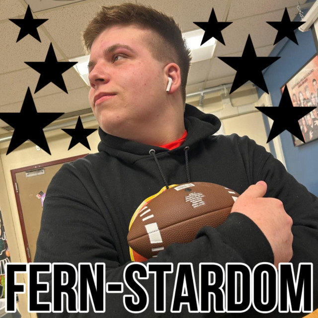 Fern-Stardom cover art