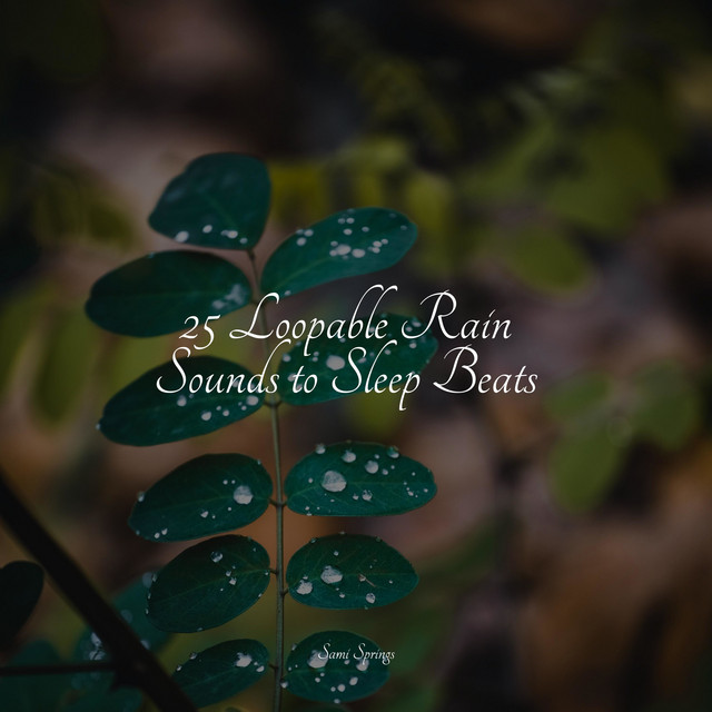25 Loopable Rain Sounds to Sleep Beats - Album by Studying Music | Spotify