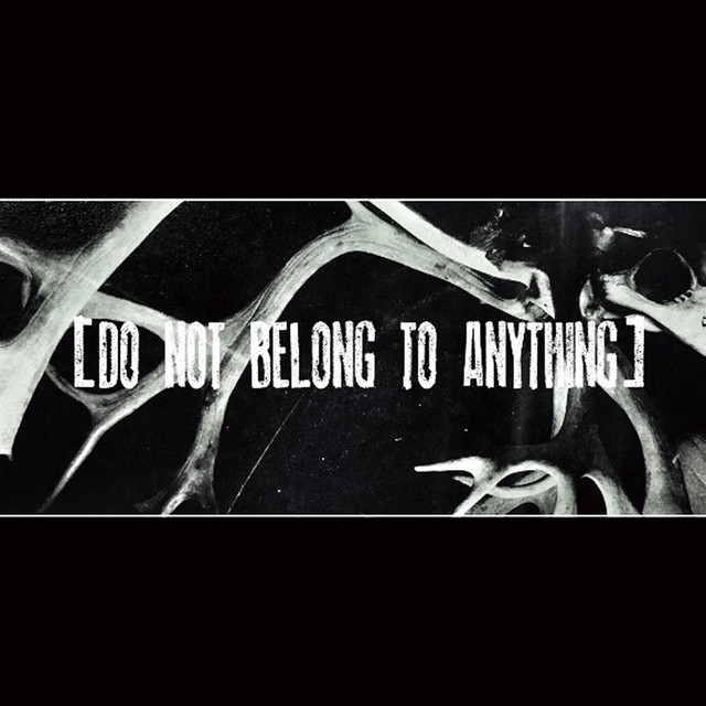 DO NOT BELONG TO ANYTHING cover art