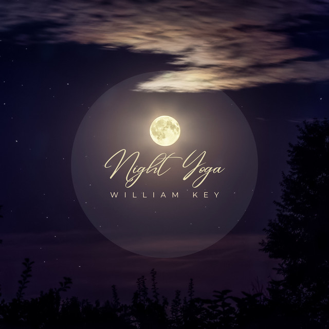 Night Yoga cover art