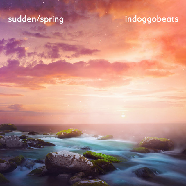 sudden/spring cover art