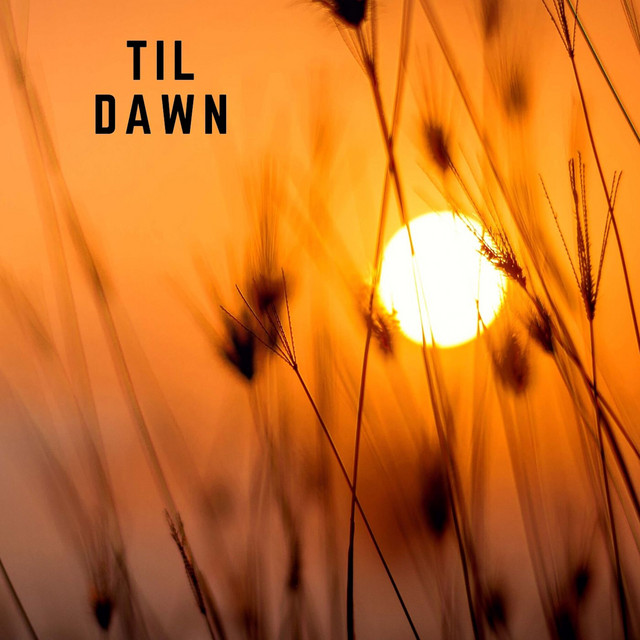 Til Dawn cover art