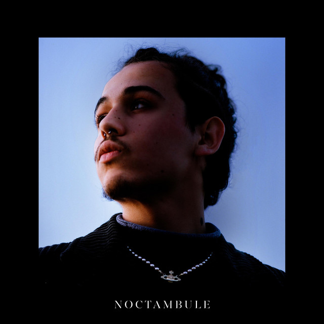 Cheveux noirs cover art