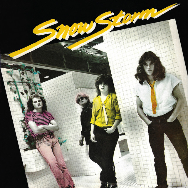 Snowstorm cover art