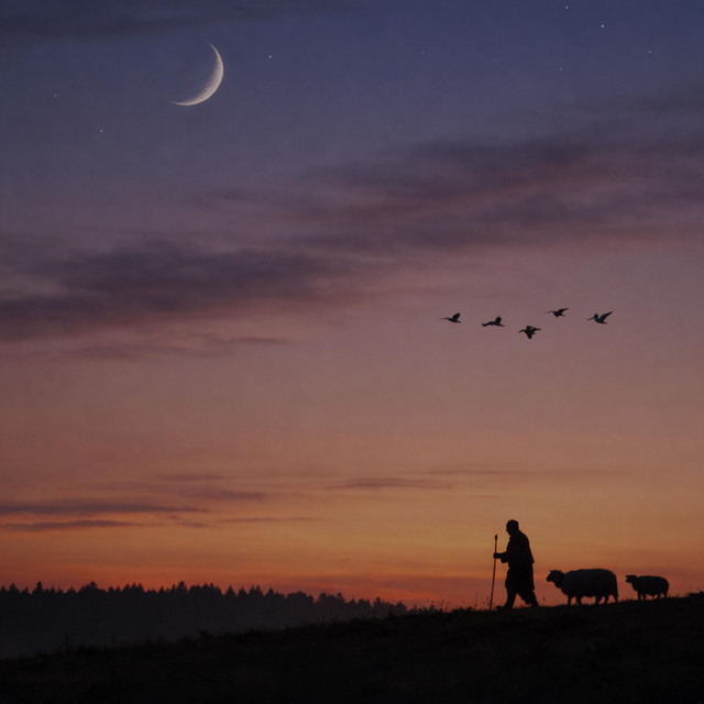 Walking the Night