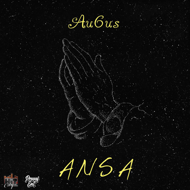 ANSA