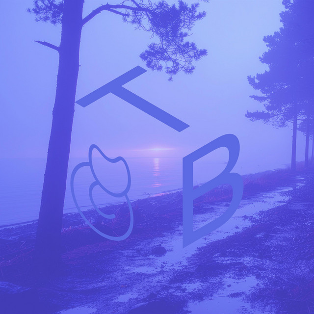 Tomasz Bednarczyk - Foggy Coast