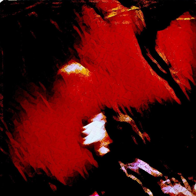 Distorted Reality cover art