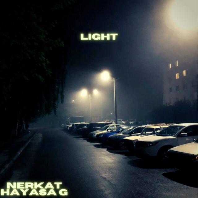 Light cover art
