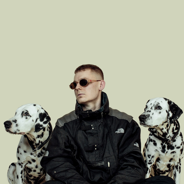 Alle Vil Være Min Ven cover art