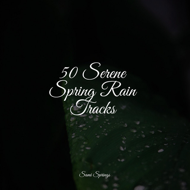 50 Sounds of Rain and Nature Sounds for Sleep - Album by Sampling XL ...