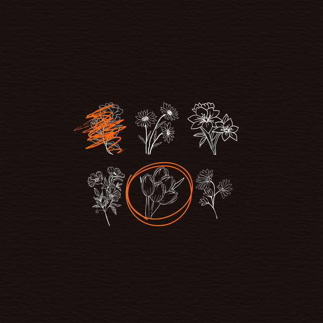 Tulips cover art