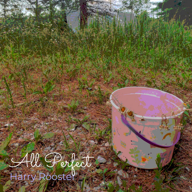 All Perfect - Single by Harry Rooster | Spotify