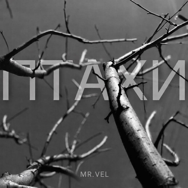 Cover art: Птахи — MR. VEL