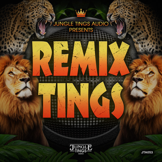 Jungle Tings Audio Presents: Remix Tings cover