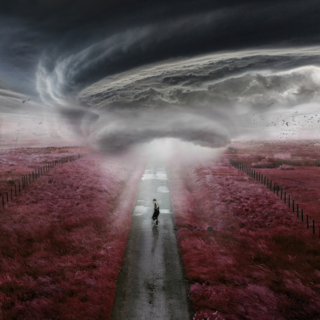 The Storm cover art