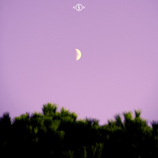 SOLO cover art