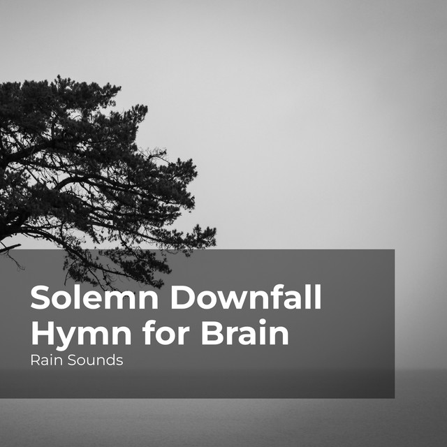 Solemn Downfall Hymn for Brain cover art