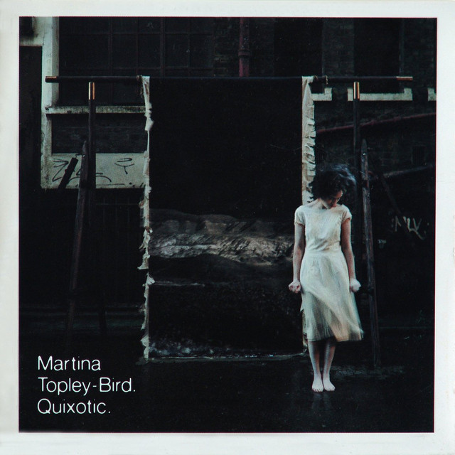 Quixotic cover art