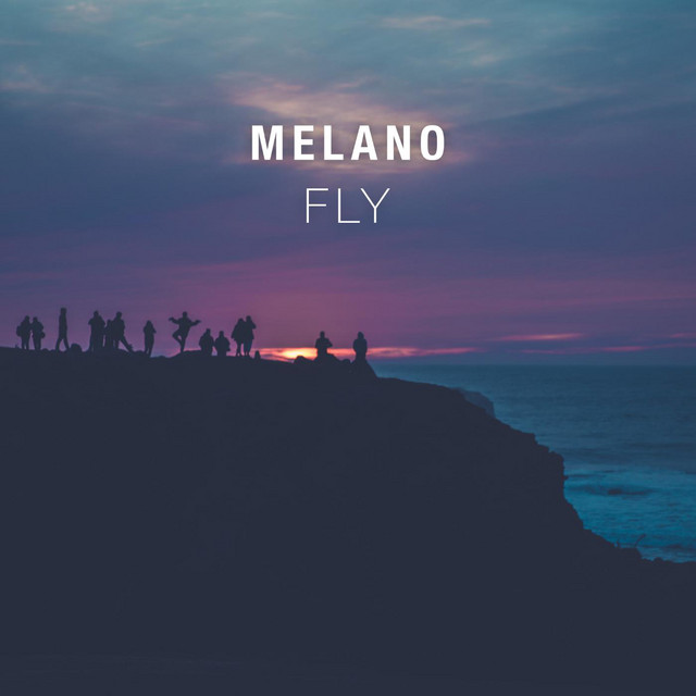 Fly cover art