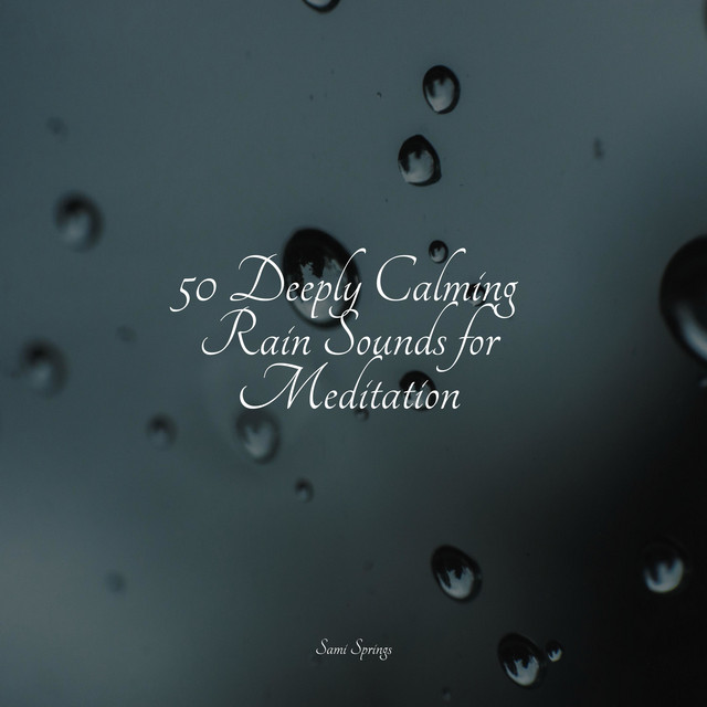 50 Deeply Calming Rain Sounds for Meditation - Album by Deep Sleep ...