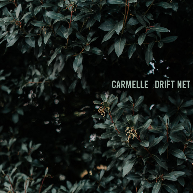 Drift Net cover art