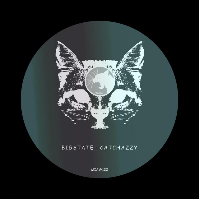 Catchazzy cover art
