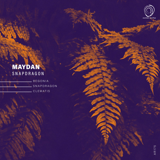 Snapdragon cover art