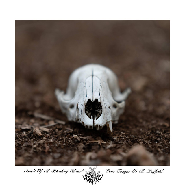 Smell Of A Bleeding Heart cover art
