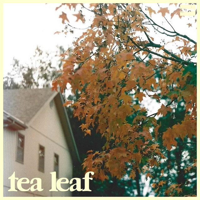 Tea Leaf cover art