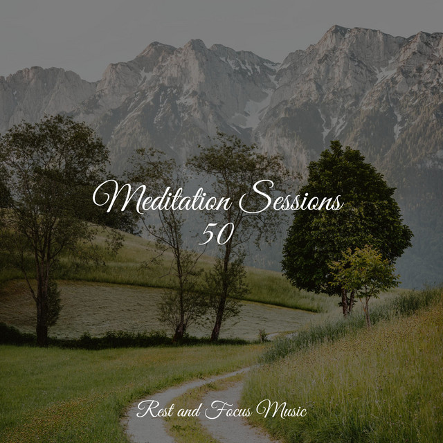 Meditation Sessions 50 - Album by Exam Study Classical Music | Spotify