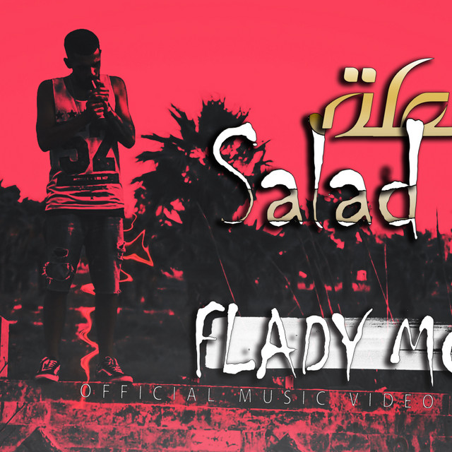 Salad cover