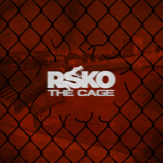 Pochette de The Cage de 2021