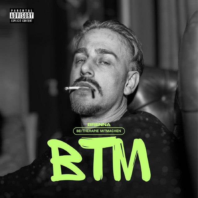 Diese Stadt cover art