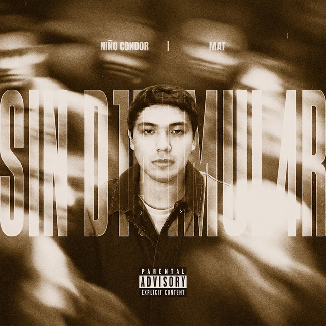 Otro Desvelo cover art