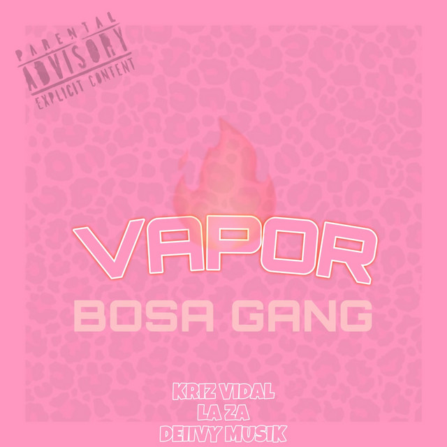 VAPOR (Bosa Gang)