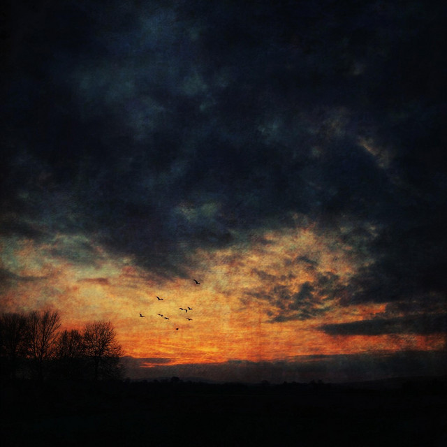 when autumn forgot to end cover