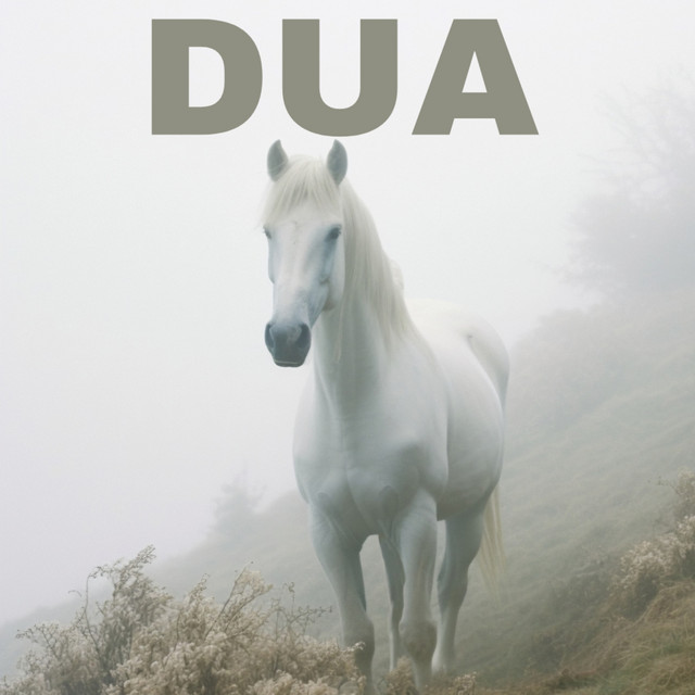Dua cover art