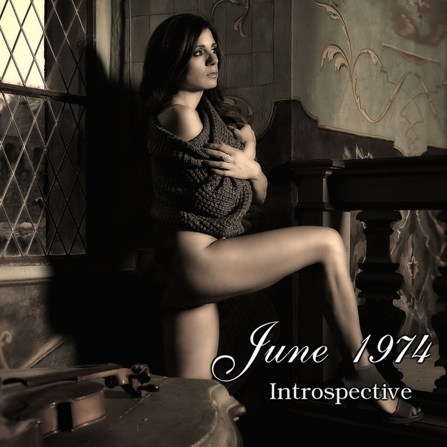 Introspective cover