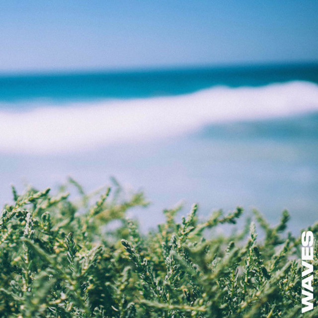 Waves cover art