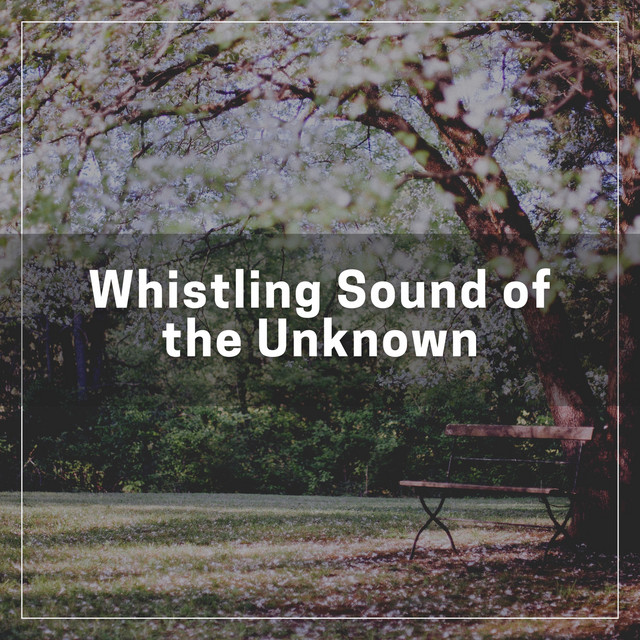 Whistling Sound of the Unknown cover art