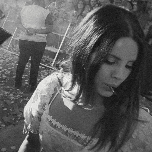 Meet Me in The Pale Moonlight