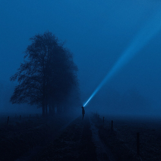 nightwalk cover art